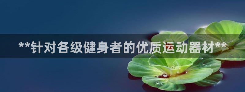 意昂体育3软件：**针对各级健身者的优质运动器材**