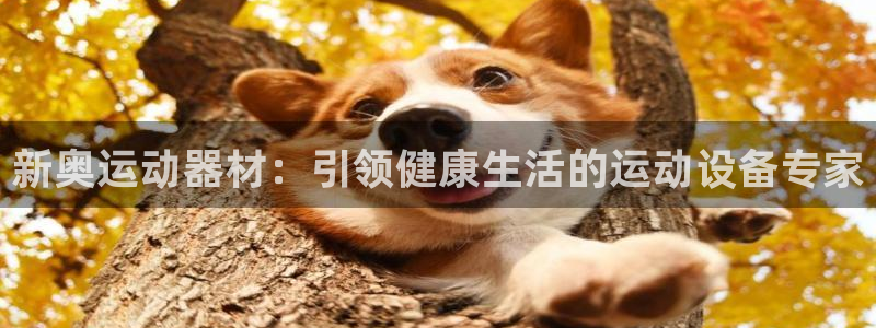 意昂3娱乐是那个系列的台子：新奥运动器材：引领健康生