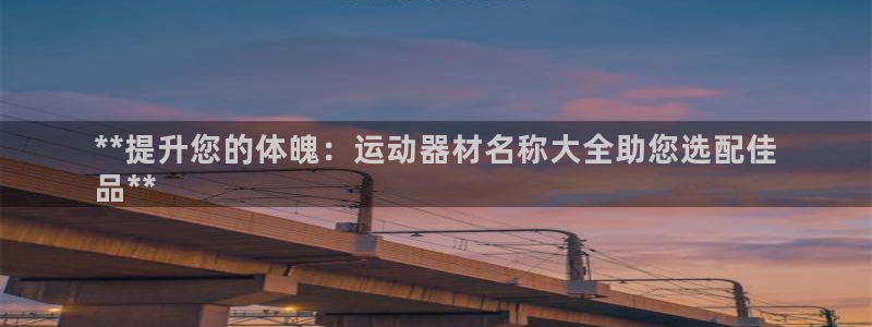 意昂3娱乐首页网站大全：**提升您的体魄：运动器材名