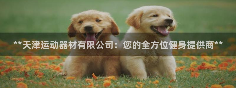 意昂3娱乐是那个系列的台子：**天津运动器材有限公司