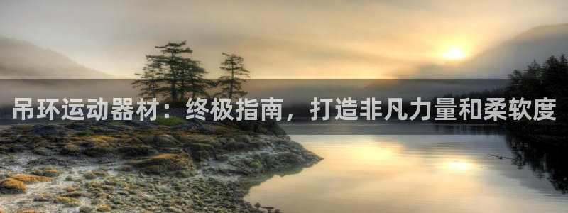 意昂体育3娱乐：吊环运动器材：终极指南，打造非凡力量