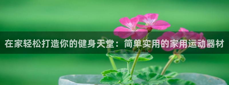 注册意昂3：在家轻松打造你的健身天堂：简单实用的家用
