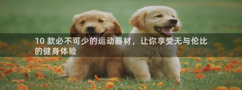 意昂3代理：10 款必不可少的运动器材，让你享受无与