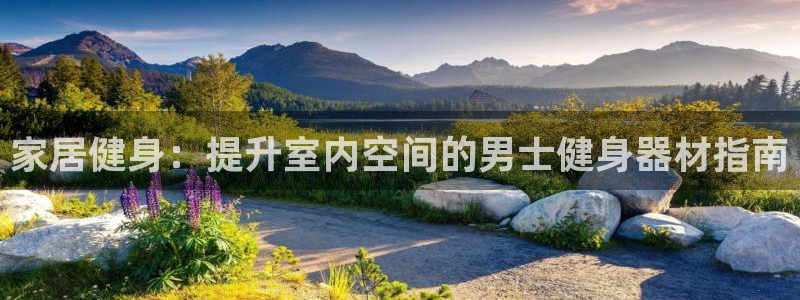 意昂3新能源：家居健身：提升室内空间的男士健身器材指