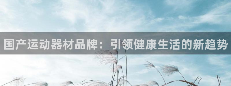 意昂体育3软件：国产运动器材品牌：引领健康生活的新趋