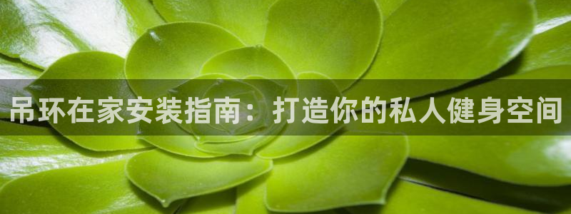 意昂3集团logo：吊环在家安装指南：打造你的私人健