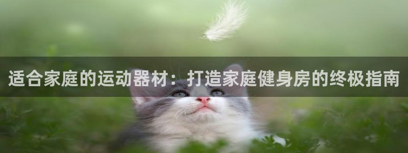 意昂3代理：适合家庭的运动器材：打造家庭健身房的终极