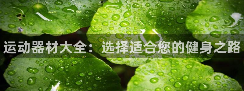 意昂体育3招商电话是多少号码：运动器材大全：选择适合