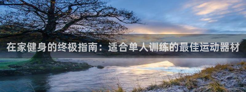 意昂集团官网：在家健身的终极指南：适合单人训练的最佳