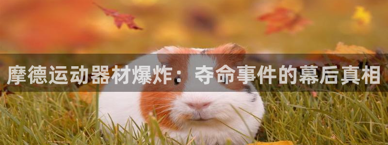 意昂3科技：摩德运动器材爆炸：夺命事件的幕后真相