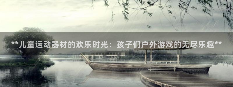 意昂体育3招商电话是多少号码：**儿童运动器材的欢乐