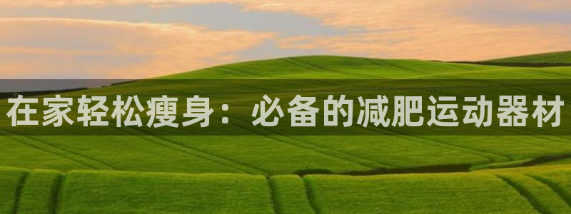 意昂体育3是干嘛的公司：在家轻松瘦身：必备的减肥运动