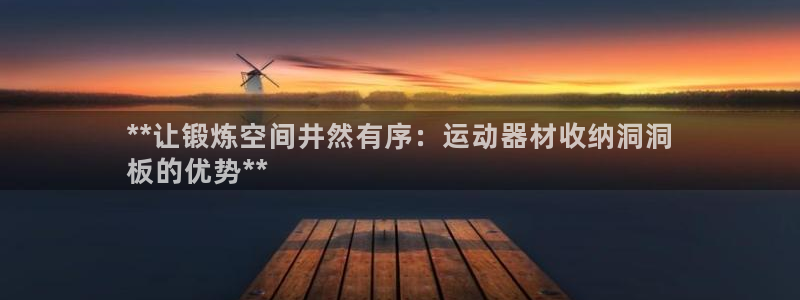 意昂3集团简介：**让锻炼空间井然有序：运动器材收纳