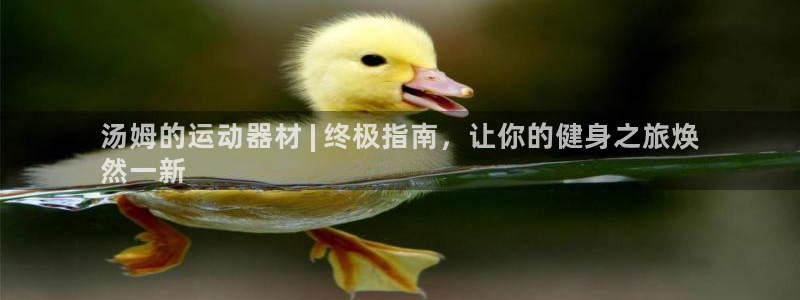 意昂体育3开户：汤姆的运动器材 | 终极指南，让你的