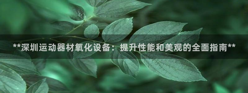 意昂3娱乐：**深圳运动器材氧化设备：提升性能和美观