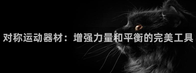 意昂3集团官网首页网址：对称运动器材：增强力量和平衡