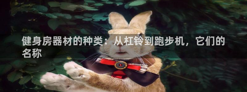 意昂3娱乐平台：健身房器材的种类：从杠铃到跑步机，它
