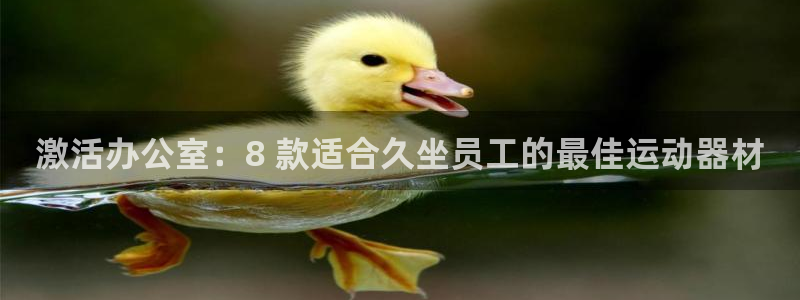 意昂3娱乐下载：激活办公室：8 款适合久坐员工的最佳