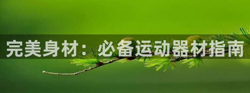 意昂3娱乐平台：完美身材：必备运动器材指南
