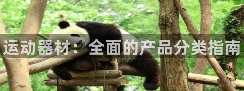意昂体育3联系电话：运动器材：全面的产品分类指南