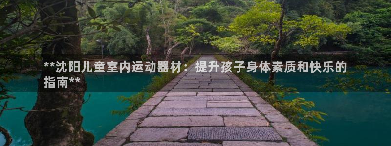 意昂体育3开户：**沈阳儿童室内运动器材：提升孩子身