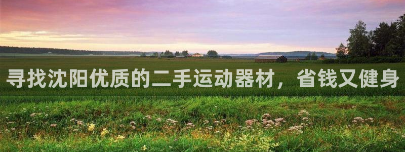 意昂3娱乐：寻找沈阳优质的二手运动器材，省钱又健身