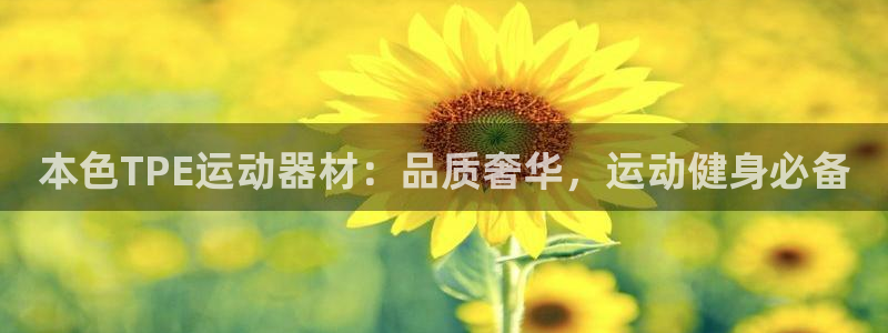 意昂3五金厂：本色TPE运动器材：品质奢华，运动健身