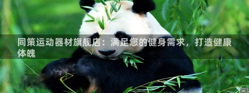 意昂3官方：同策运动器材旗舰店：满足您的健身需求，打