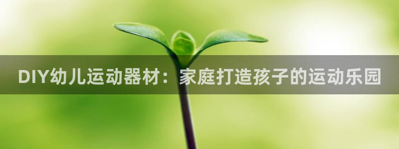 意昂3娱乐：DIY幼儿运动器材：家庭打造孩子的运动乐