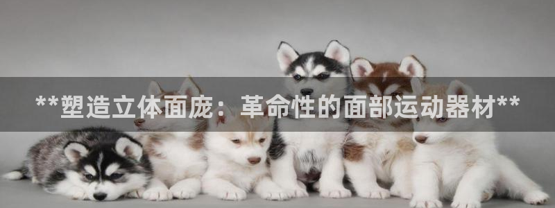 意昂体育3平台是正规平台吗知乎：**塑造立体面庞：革