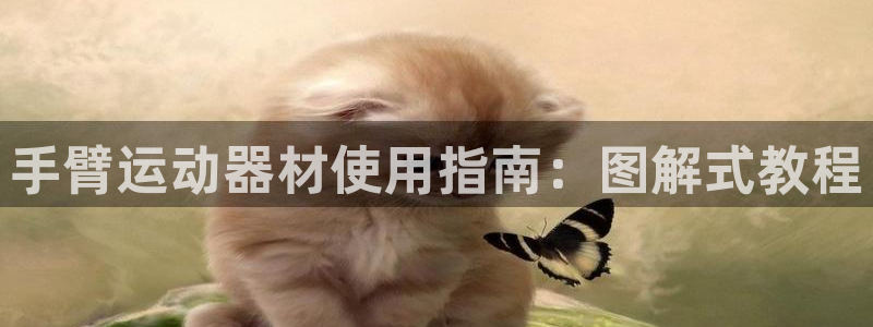 意昂3娱乐：手臂运动器材使用指南：图解式教程