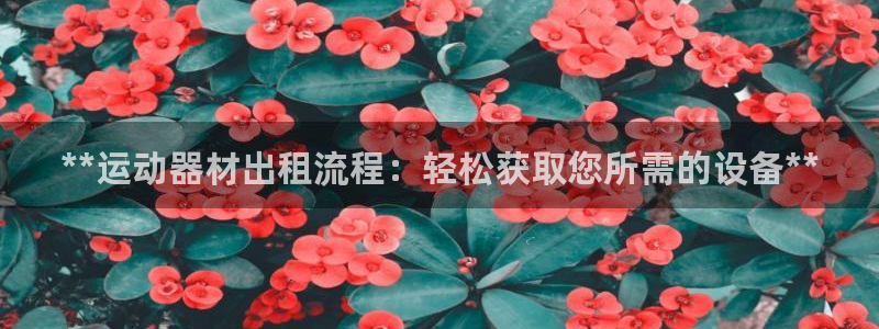 意昂3集团：**运动器材出租流程：轻松获取您所需的设