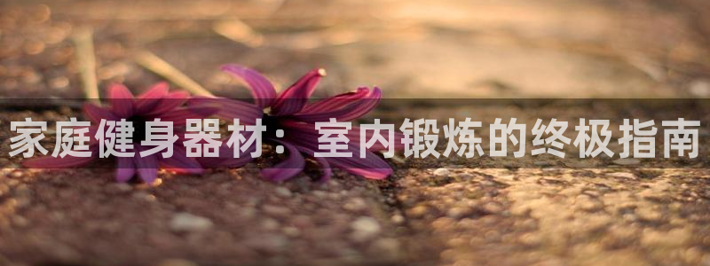 意昂体育3：家庭健身器材：室内锻炼的终极指南