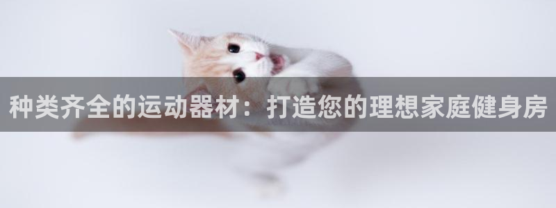 意昂体育3招商：种类齐全的运动器材：打造您的理想家庭