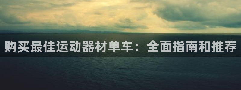 海南意昂体育3发展怎么样：购买最佳运动器材单车：全面
