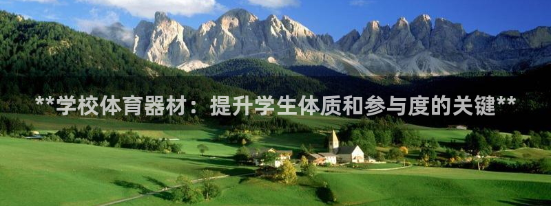 意昂体育3平台注册要钱吗：**学校体育器材：提升学生
