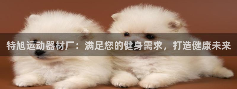 意昂体育3平台注册要钱吗安全吗：特旭运动器材厂：满足