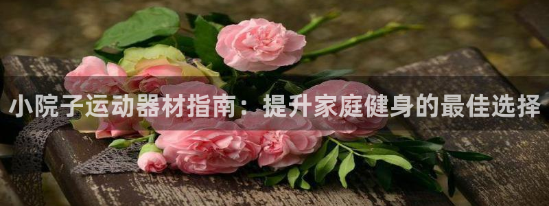 意昂3娱乐首页网站大全：小院子运动器材指南：提升家庭
