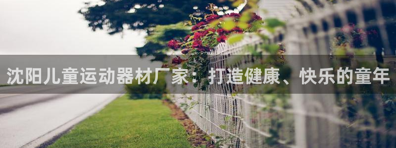 意昂3集团简介：沈阳儿童运动器材厂家：打造健康、快乐