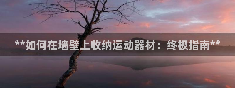 意昂3集团官网网址：**如何在墙壁上收纳运动器材：终