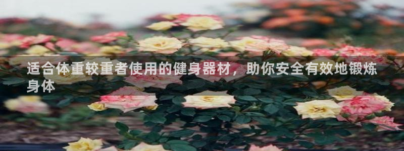 意昂体育3开户：适合体重较重者使用的健身器材，助你安