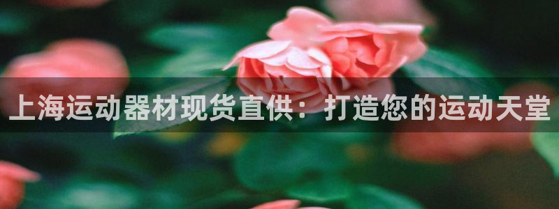 意昂体育3招商电话号码：上海运动器材现货直供：打造您