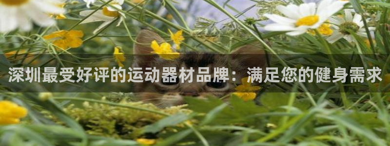 意昂体育3平台注册要钱吗是真的吗：深圳最受好评的运动
