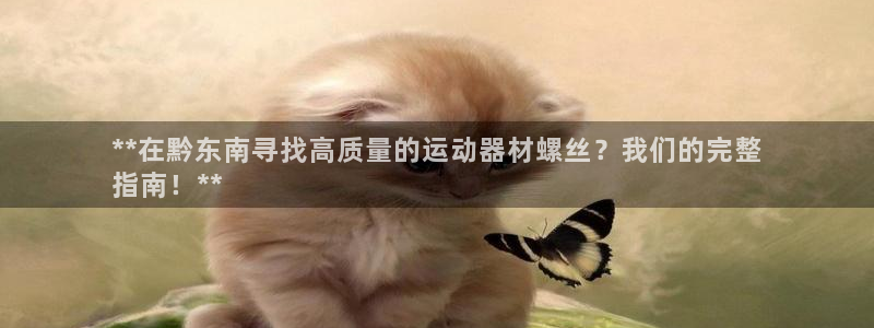 意昂体育3平台注册流程视频：**在黔东南寻找高质量的