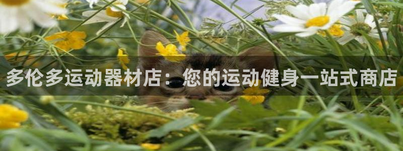 意昂3集团logo：多伦多运动器材店：您的运动健身一