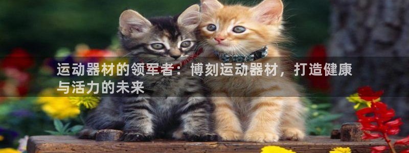 意昂体育3平台注册要钱吗：运动器材的领军者：博刻运动
