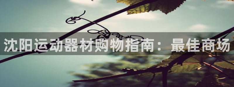 意昂3官方：沈阳运动器材购物指南：最佳商场
