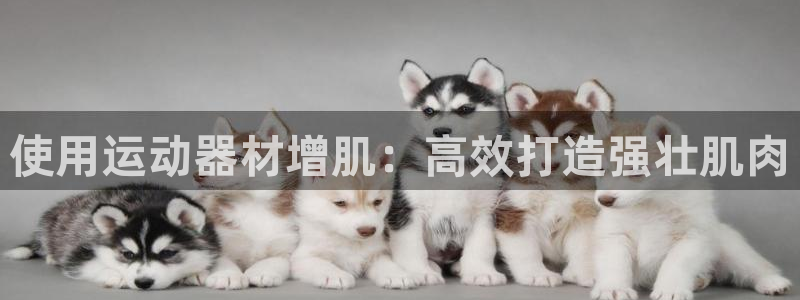 德国意昂3集团：使用运动器材增肌：高效打造强壮肌肉