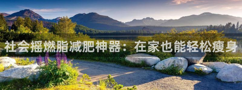 德国意昂3集团：社会摇燃脂减肥神器：在家也能轻松瘦身