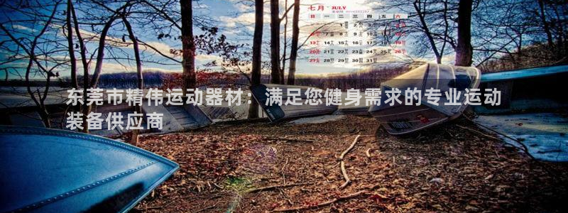 意昂体育3招商电话号码：东莞市精伟运动器材：满足您健